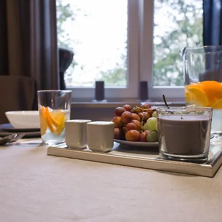 Apartment Stylish Budget Krakow